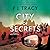 City of Secrets (Detective Margaret Nolan, #4)