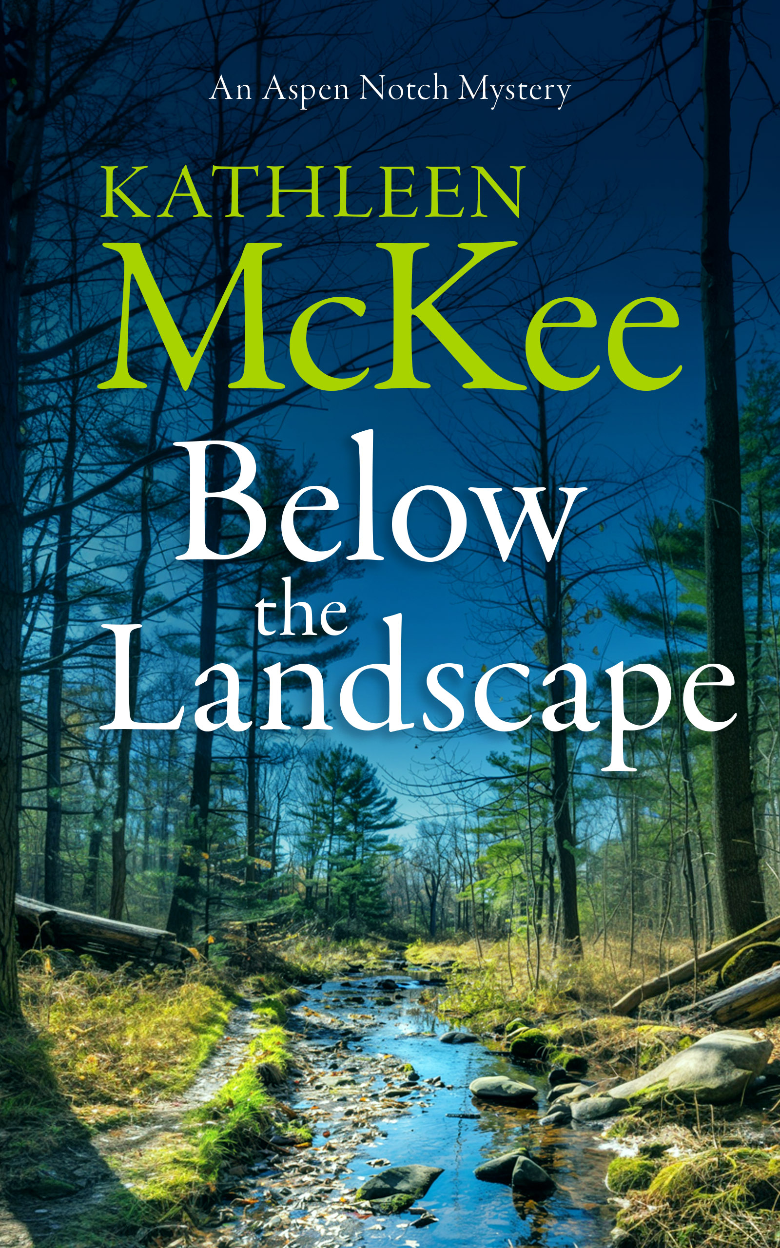 Below the Landscape (The Aspen Notch Mystery Series Book 4)
