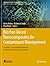 Biochar-Based Nanocomposite...