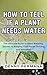 How to Tell if a Plant Need...