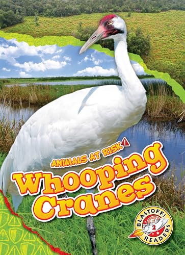 Whooping Cranes (Animals at Risk)