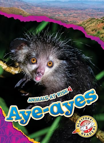Aye-ayes (Animals at Risk)