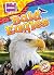 Bald Eagles