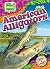 American Alligators