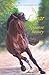 Izar, de Spaans beauty (Gou...