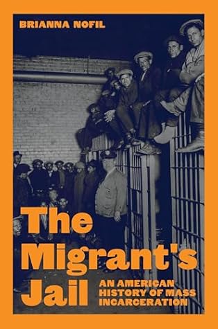 The Migrant's Jail: An American History of Mass Incarceration (Politics and Society in Modern America)