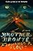 Brother Brontë: A Novel