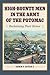 High-Bounty Men in the Army of the Potomac by Edwin P. Rutan II