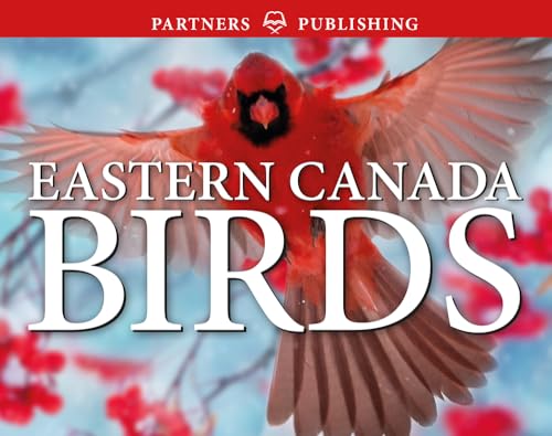 Eastern Canada Birds: Pocket Guide (Paperback)