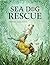 Sea Dog Rescue by Astrid Sheckels
