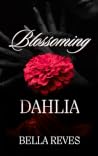 Blossoming Dahlia