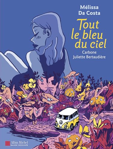 Tout le bleu du ciel (BD)