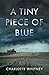A Tiny Piece of Blue: A Novel