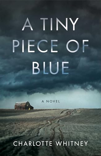 A Tiny Piece of Blue: A Novel (Paperback)