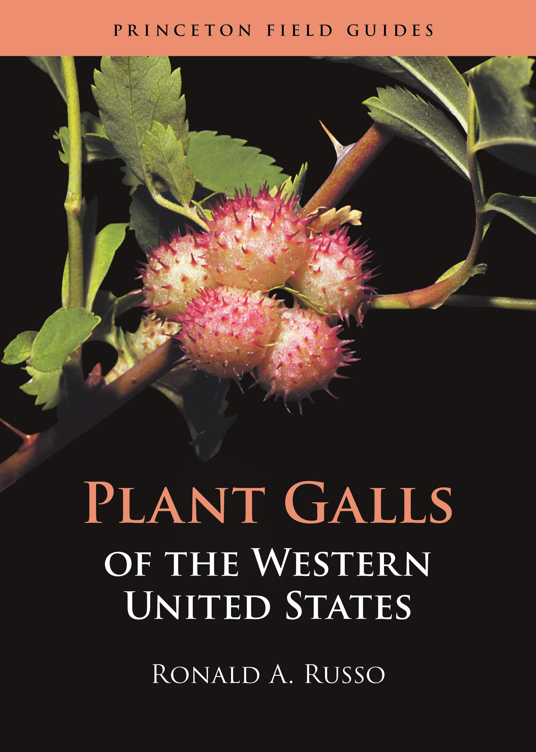 Plant Galls of the Western United States (Princeton Field Guides Book 142)