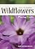 Wildflowers of the Southwes...