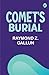 Comet's Burial
