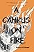 A Campus on Fire by Patrick  O'Dowd