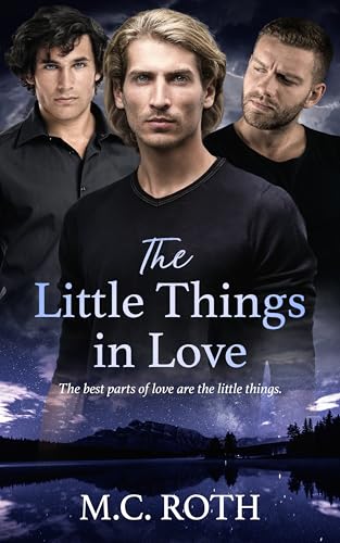 The Little Things in Love (Kindle Edition)