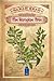 The Atropine Tree