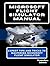 MICROSOFT FLIGHT SIMULATOR ...