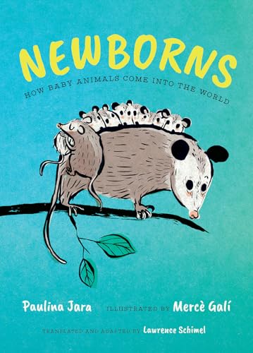 Newborns: How Baby Animals Come Into the World (Hardcover)