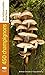 450 champignons