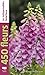 450 fleurs