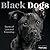 Black Dogs: Stories of Love...