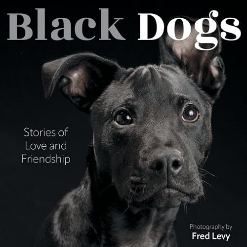 Black Dogs: Stories of Love and Friendship (Hardcover)