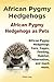 African Pygmy Hedgehogs. Af...