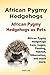 African Pygmy Hedgehogs. Ha...