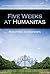 Five Weeks at Humanitas