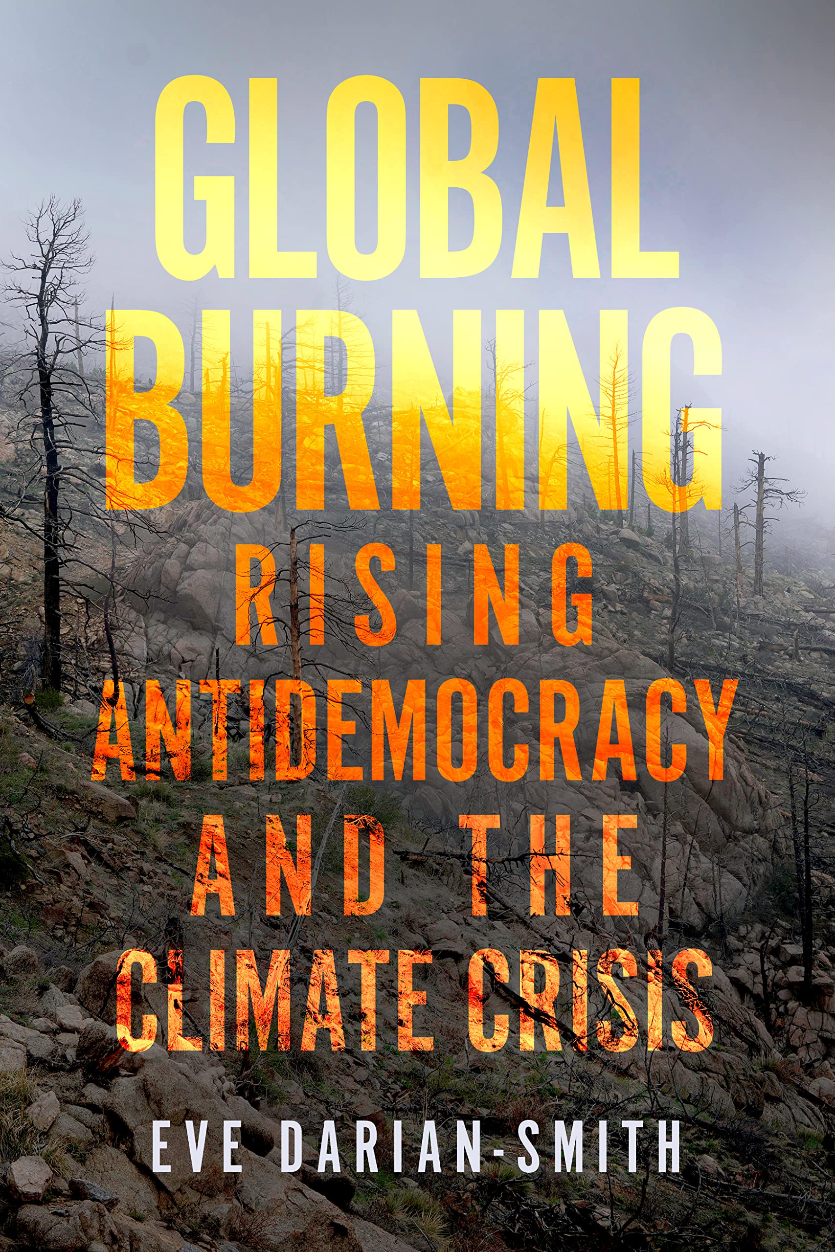 Global Burning: Rising Antidemocracy and the Climate Crisis (Kindle Edition)