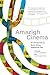 Amazigh Cinema: An Introduction to North African Indigenous Film (Indigenous Voices in World Arts and Cultural Expressions)