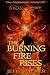 The Burning Fire Rises (Part One): The Mysterious World of Professor Darkk and Miss Shadow: Book One