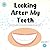 Looking After My Teeth Soci...