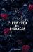 Captivated By Darkness by Grace Marie