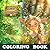 Little Deer Girl: 40 colori...