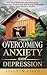 Overcoming Anxiety and Depression by Lillyin Love