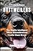 A Guide to Happy Rottweiler...