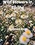 WILD FLOWERS IN SPRING: COL...
