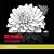 162 Flowers by Arch Stanton