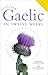 Scottish Gaelic in Twelve Weeks by Roibeard O'Maolalaigh