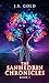 The Sanhedrin Chronicles by J.S. Gold