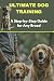 ULTIMATE DOG TRAINING by SAM ABABIO