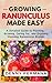 Growing Ranunculus Made Easy by Denny Permana