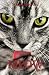 Meow by Meow Meowler