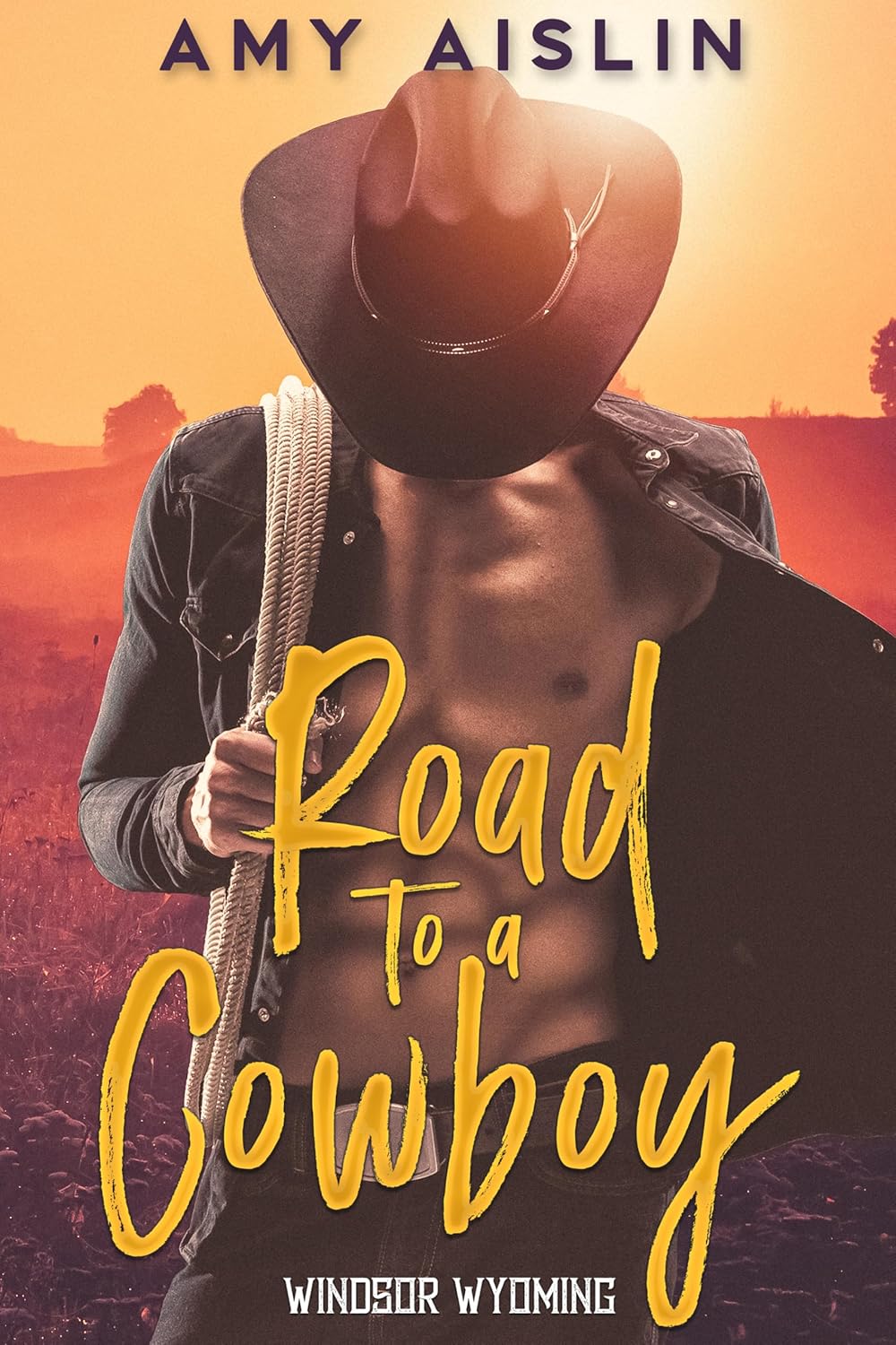 Road to a Cowboy (Windsor, Wyoming, #2)