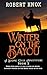Winter on the Bayou: Stone Cold Adventures Book 2
